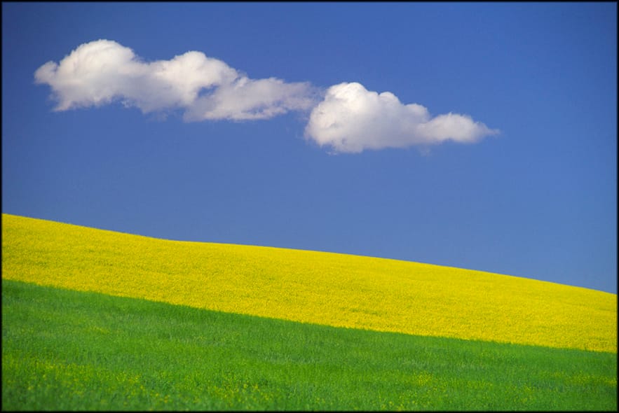 Slideshow image 7
